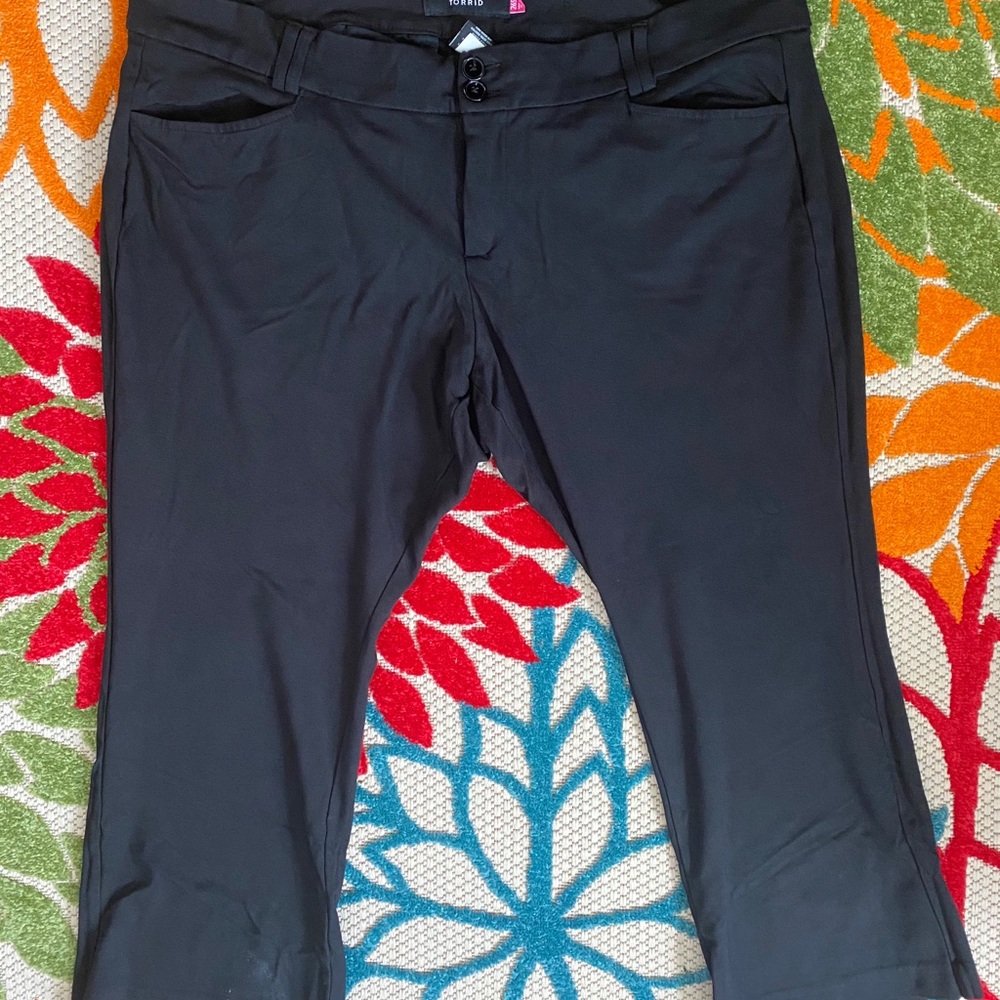 Black skinny pants - Torrid size 26S